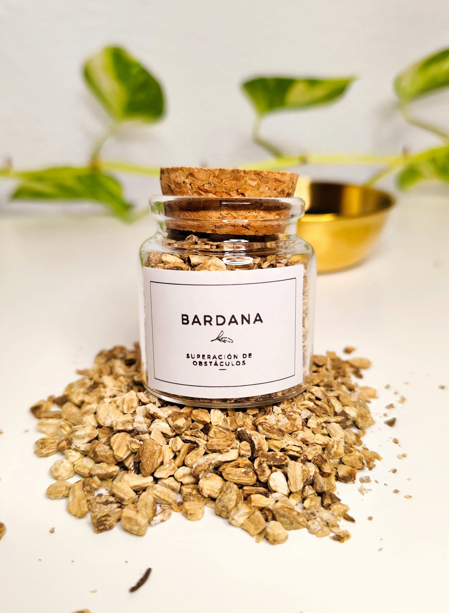 Bardana · Superación de Obstáculos