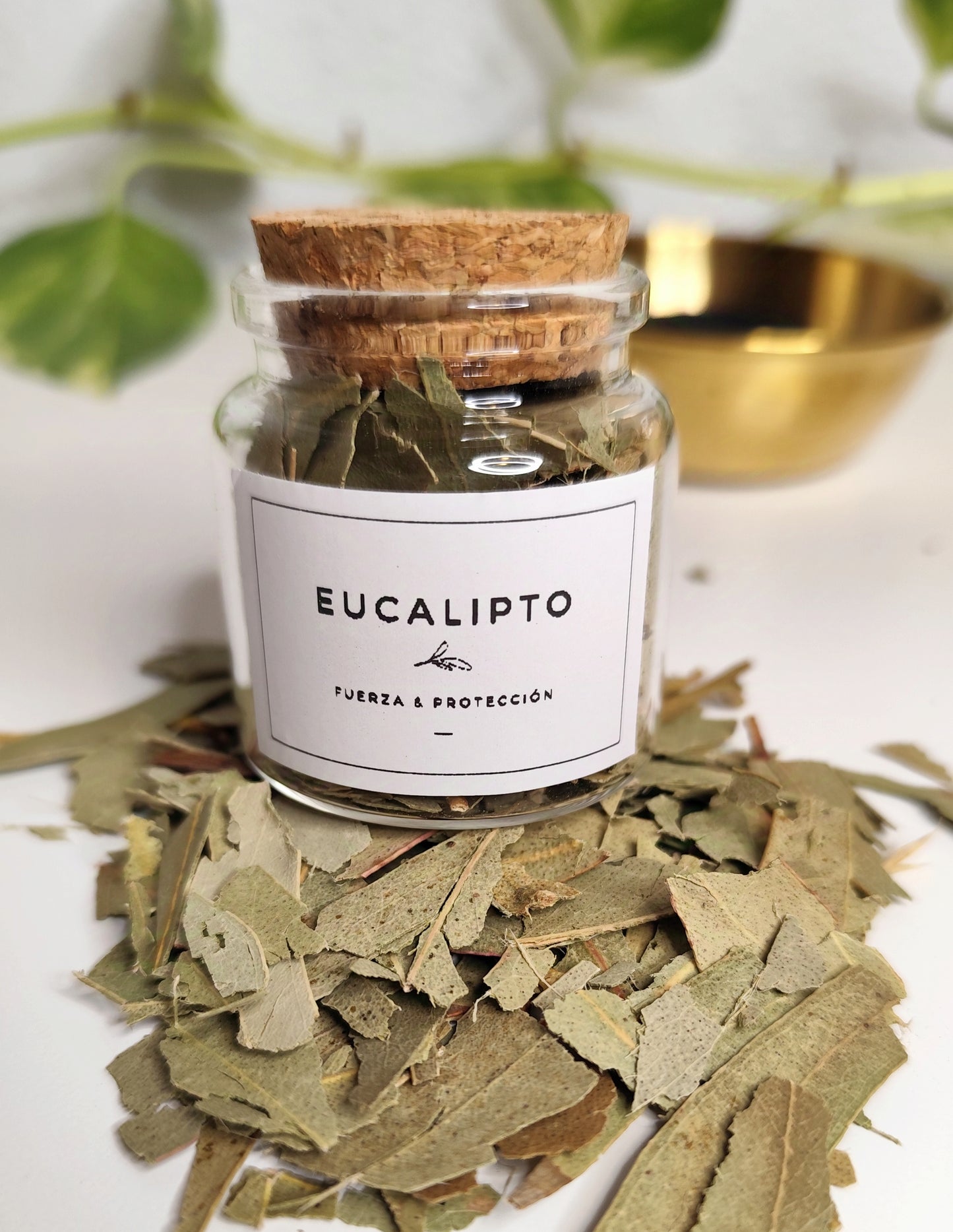 Eucalipto · Fuerza y protección