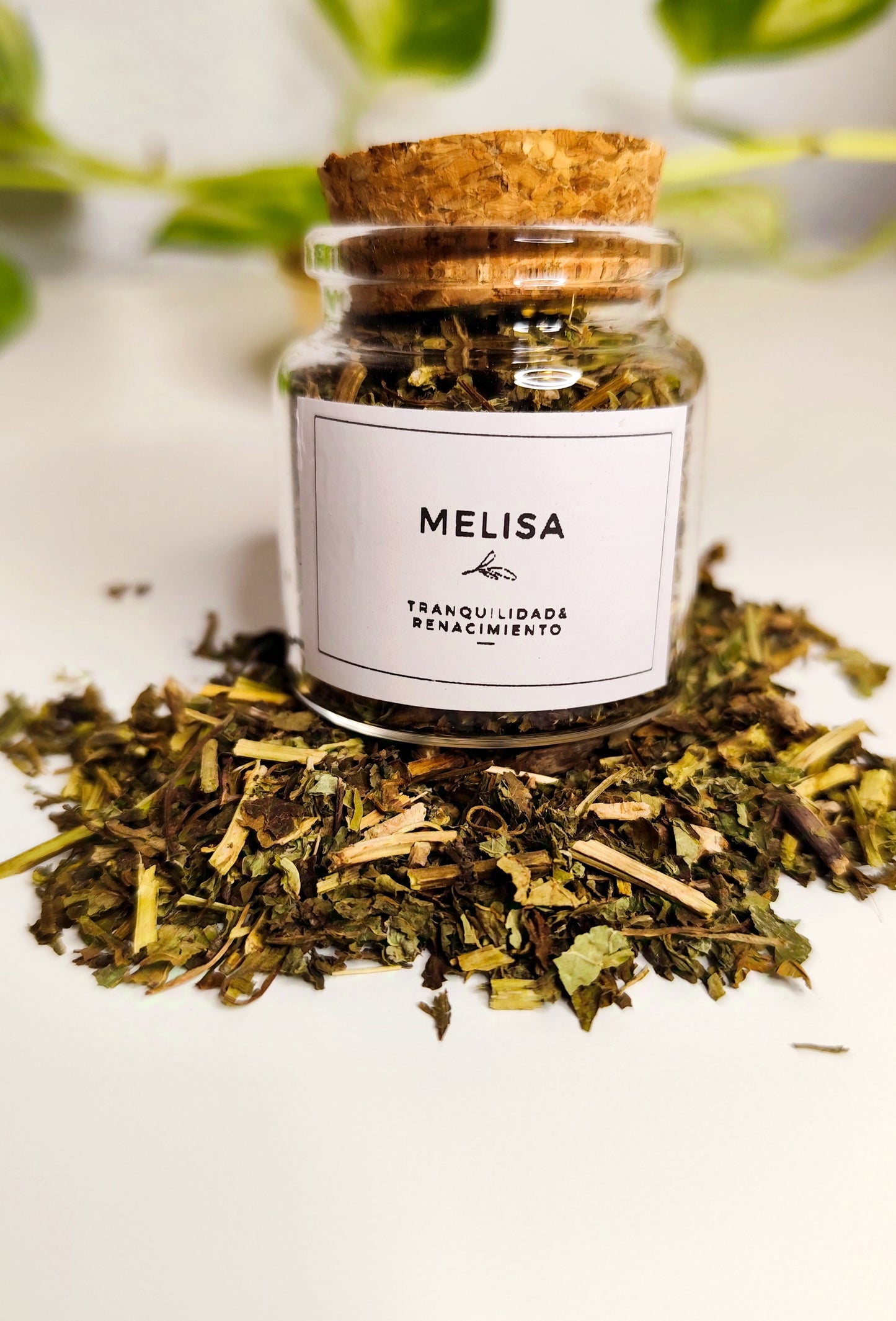 Melisa · Armonía y Equilibrio