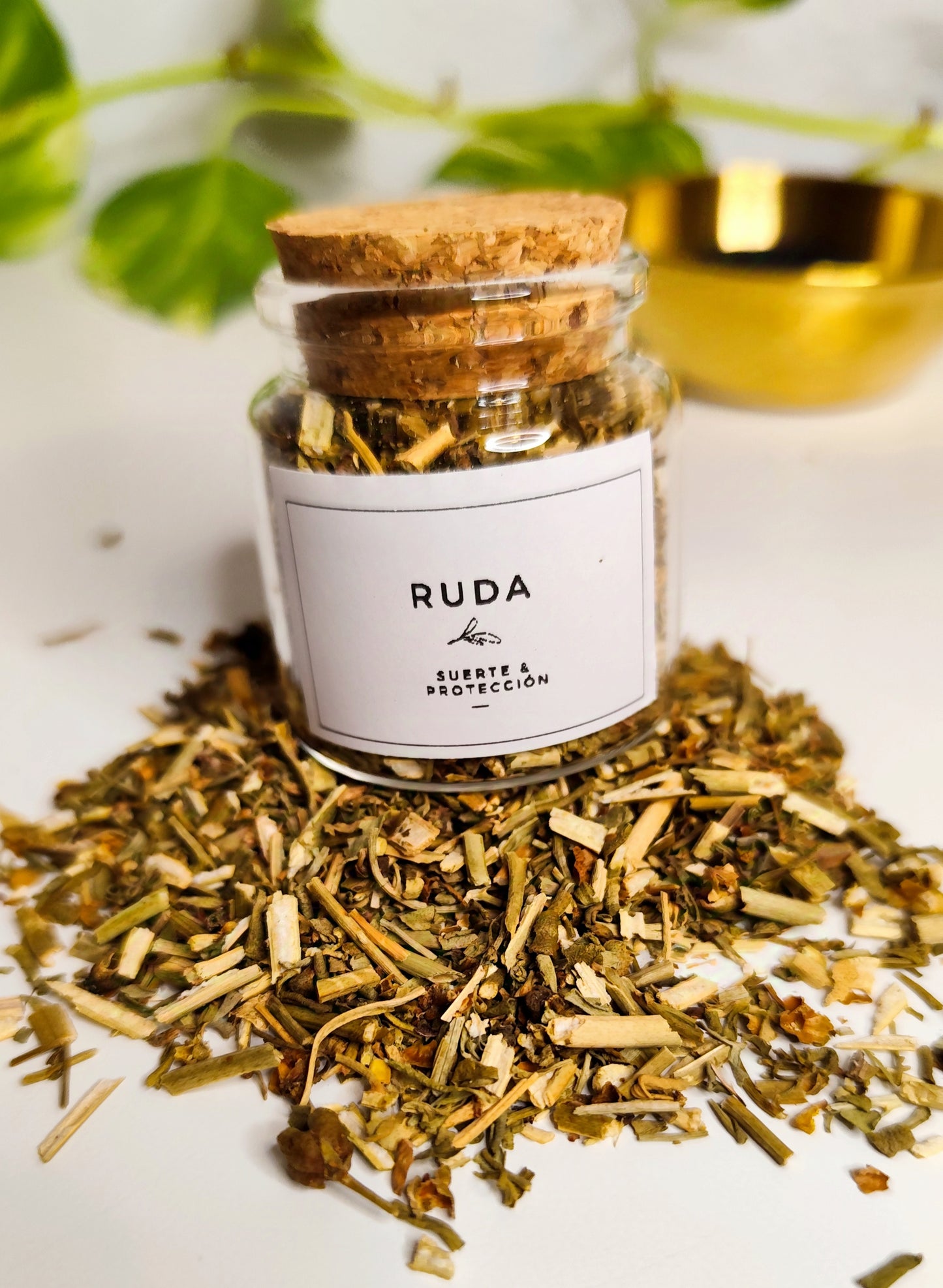 Ruda · Suerte y Protección