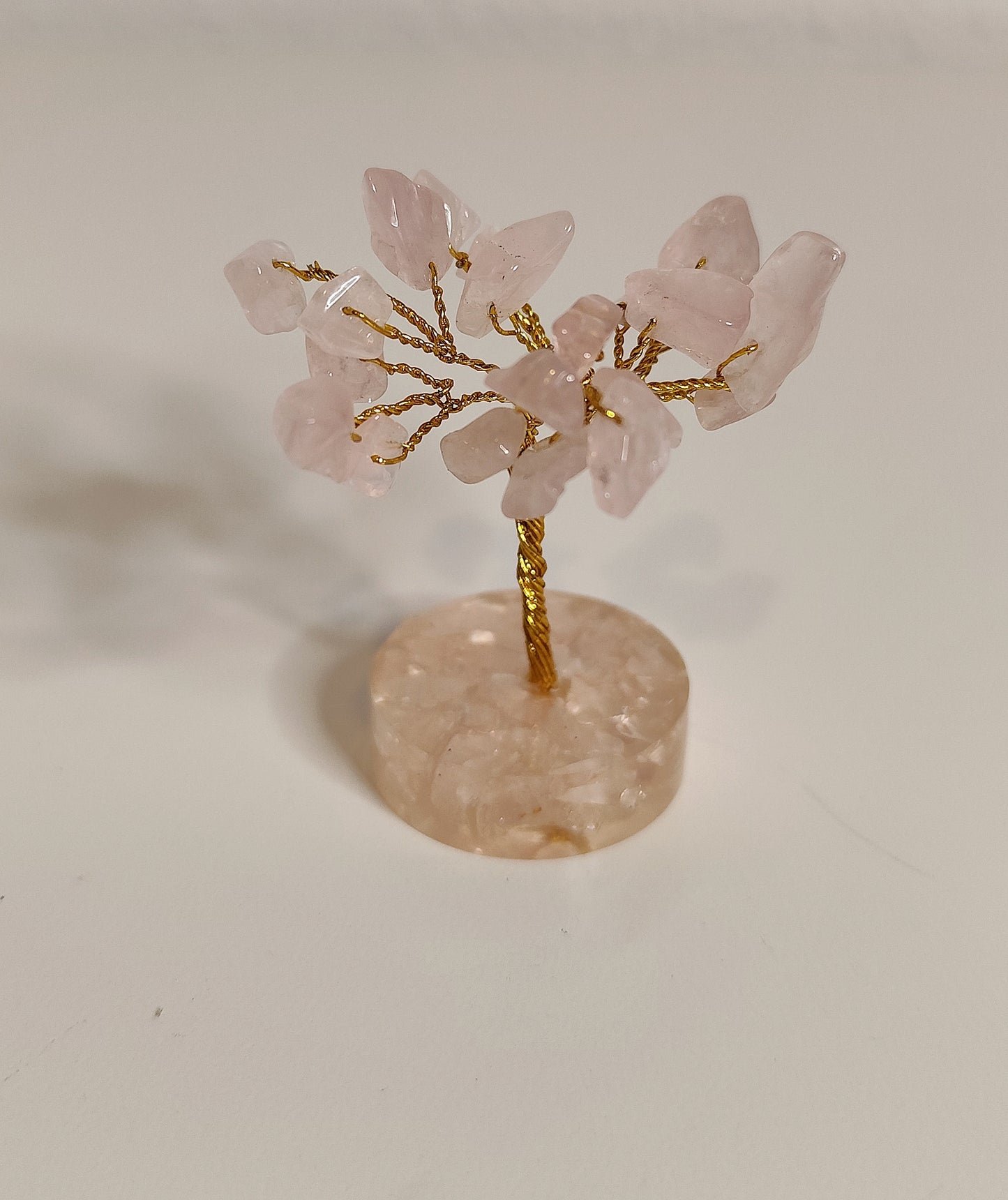 Árbol de la Vida | Minerales