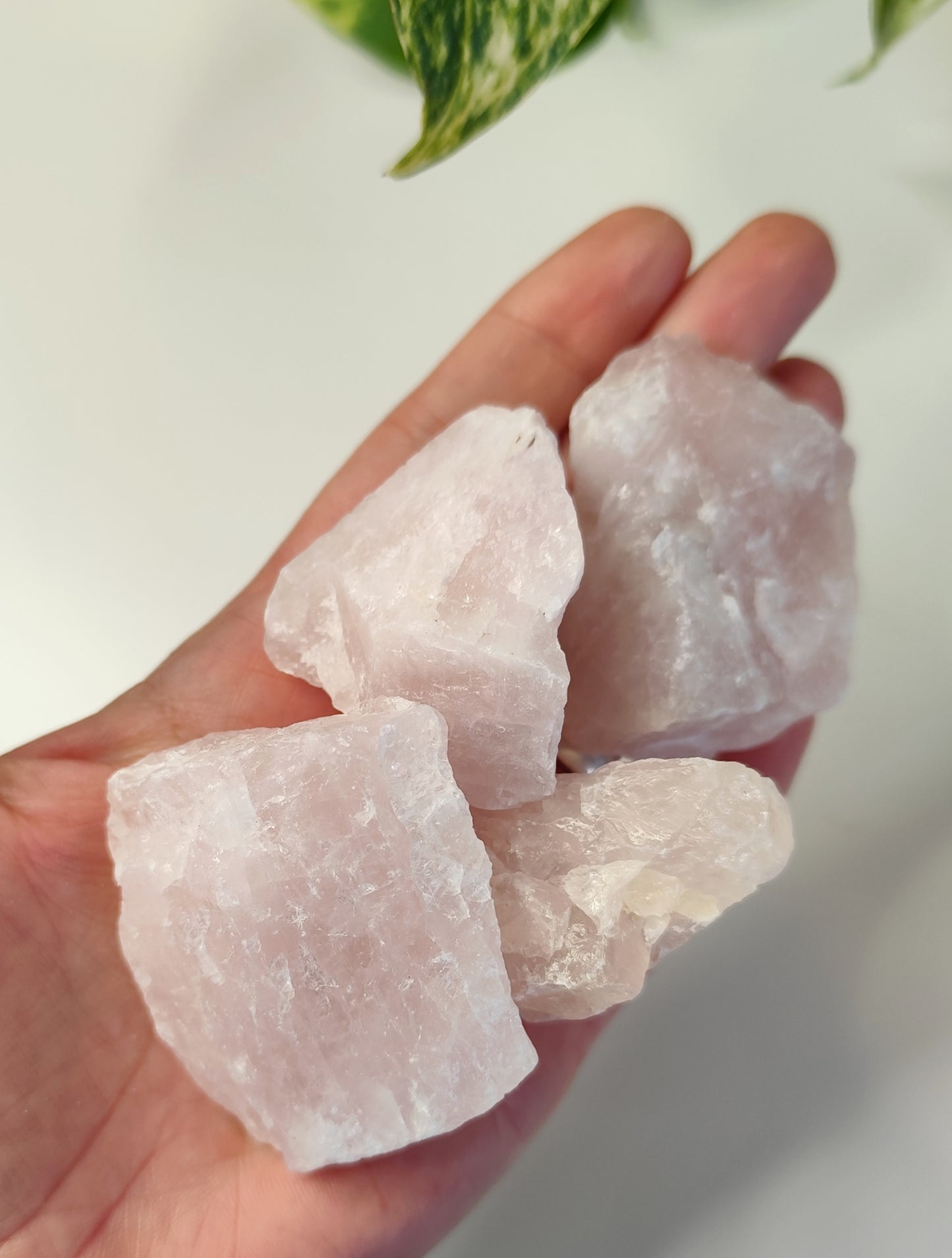 Masivo Cuarzo Rosa