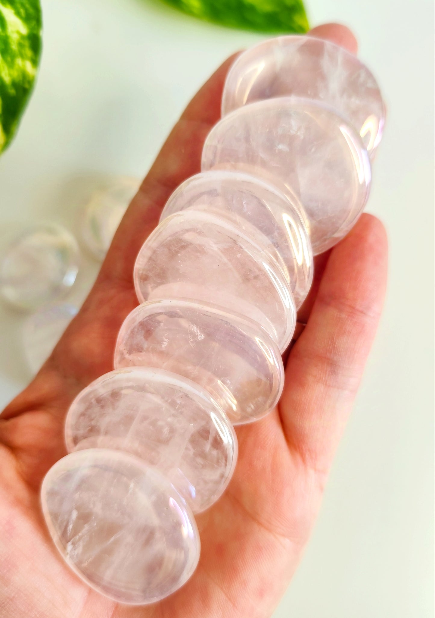 Rodado Plano Aura Rosa  | Amor Incondicional