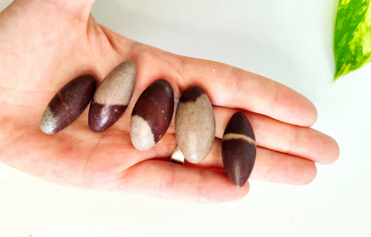 Shiva Lingam | Confianza y Equilibrio