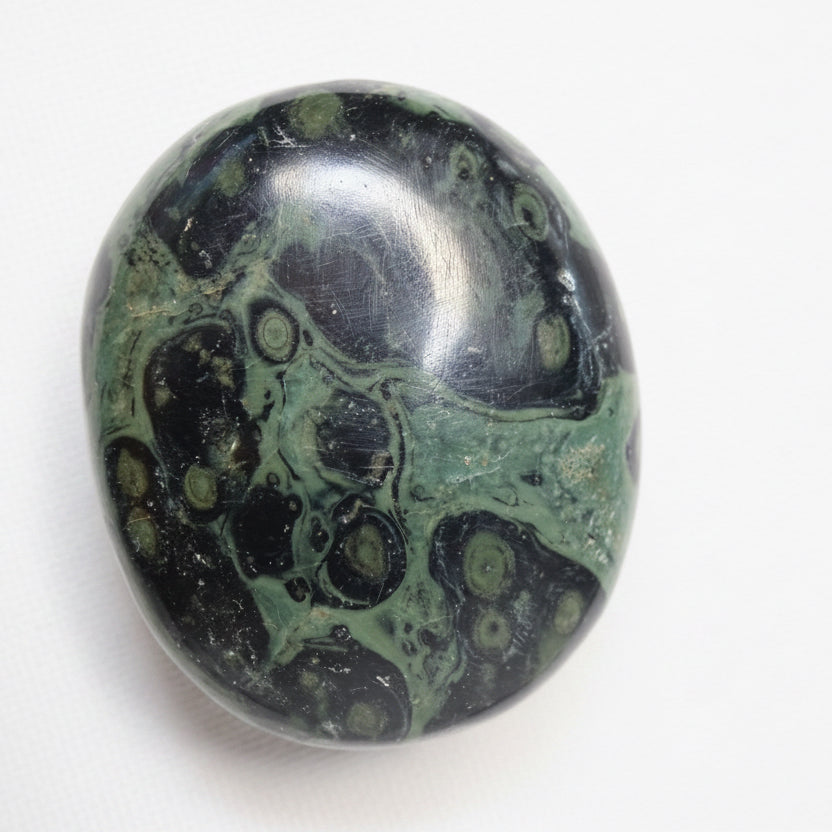Jaspe Kambaba Palm Stone | Enraizamiento