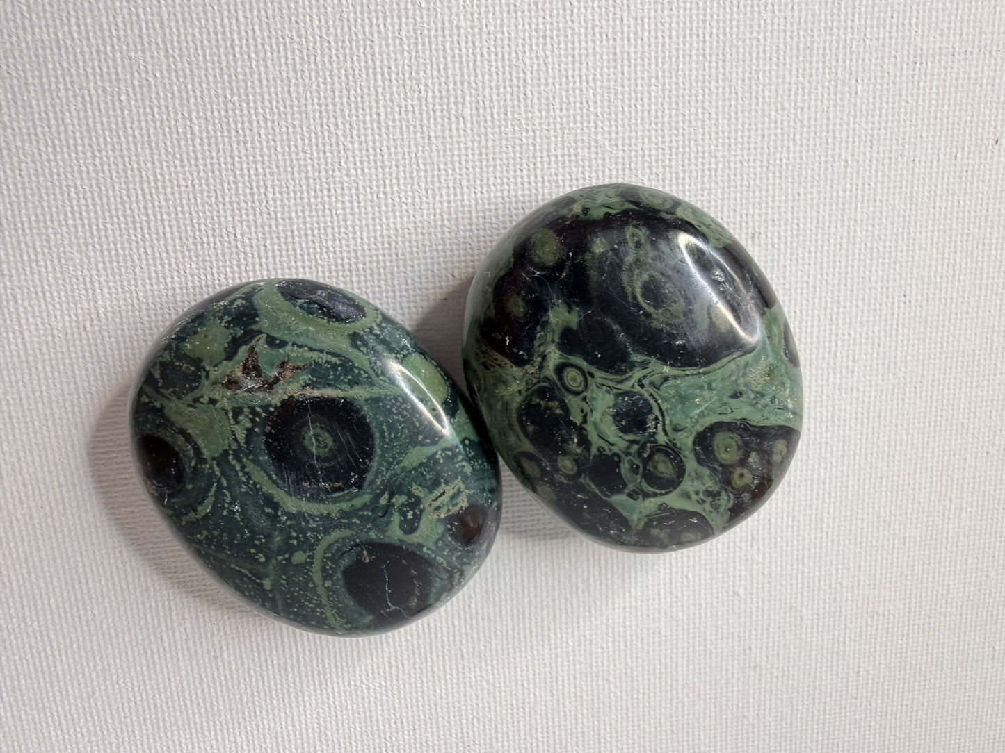 Jaspe Kambaba Palm Stone | Enraizamiento