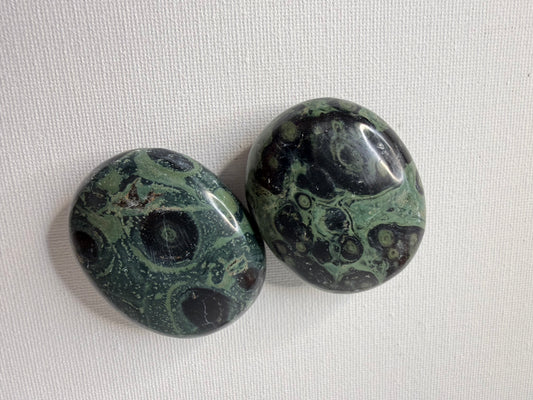 Jaspe Kambaba Palm Stone | Enraizamiento