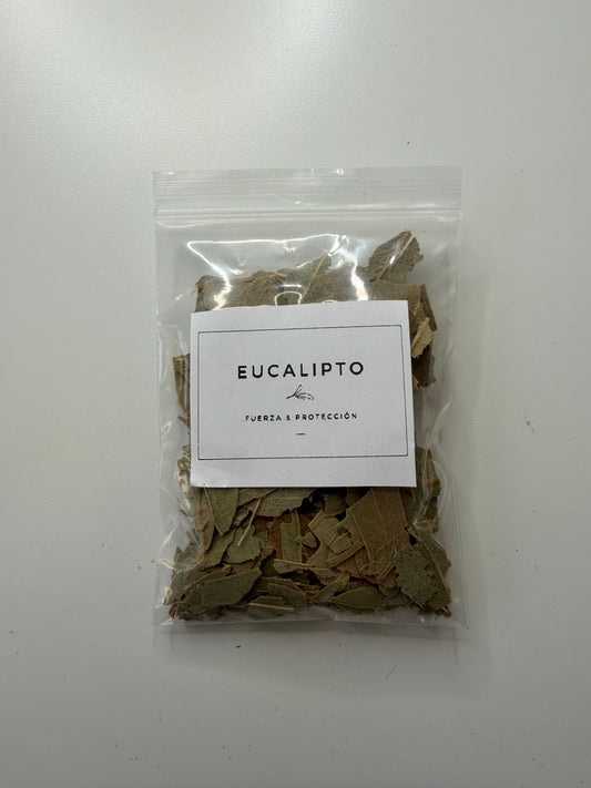 Eucalipto · Fuerza y protección