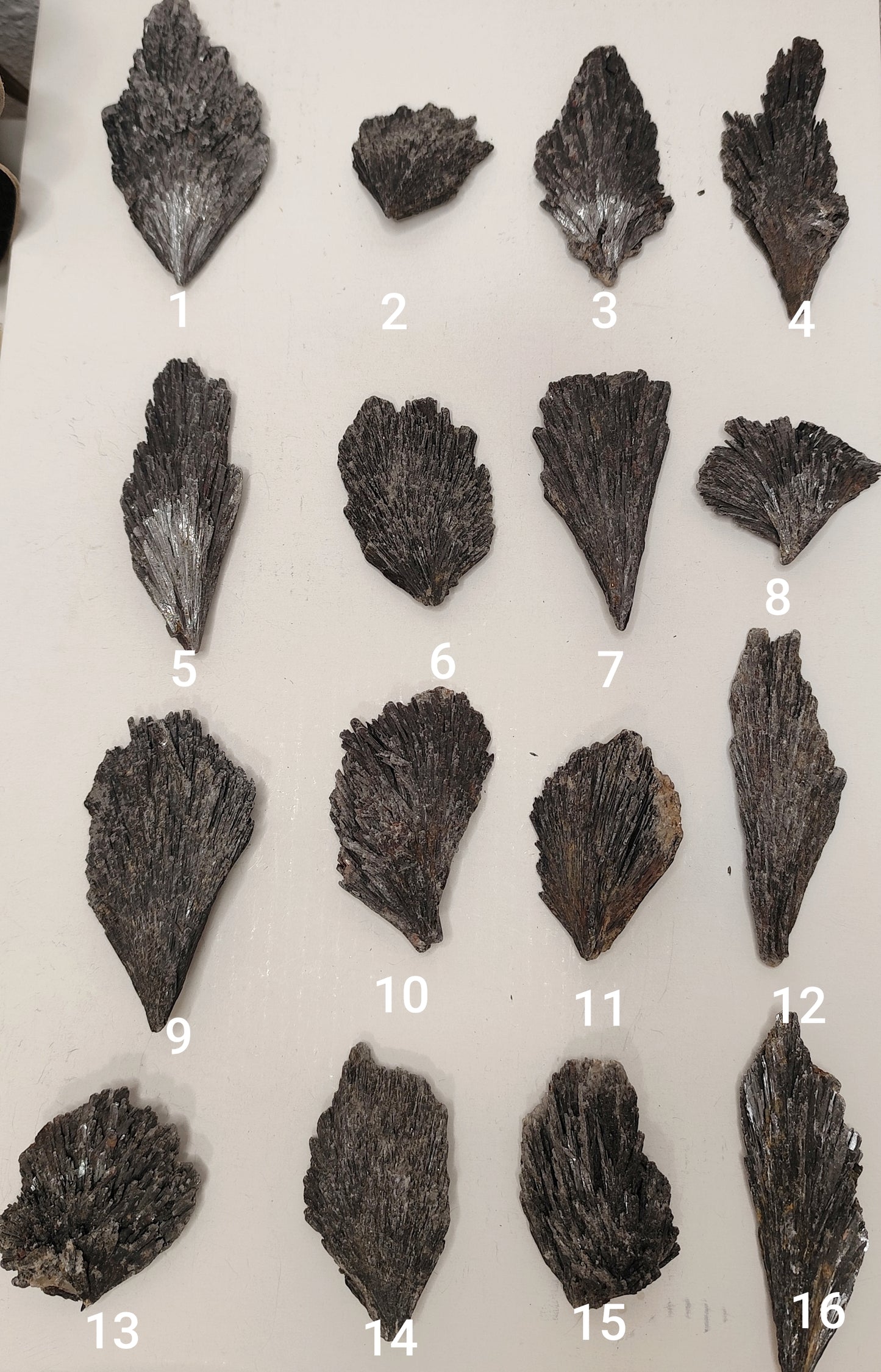 Cianita Negra · Escoba de Bruja | Protección y Conexión