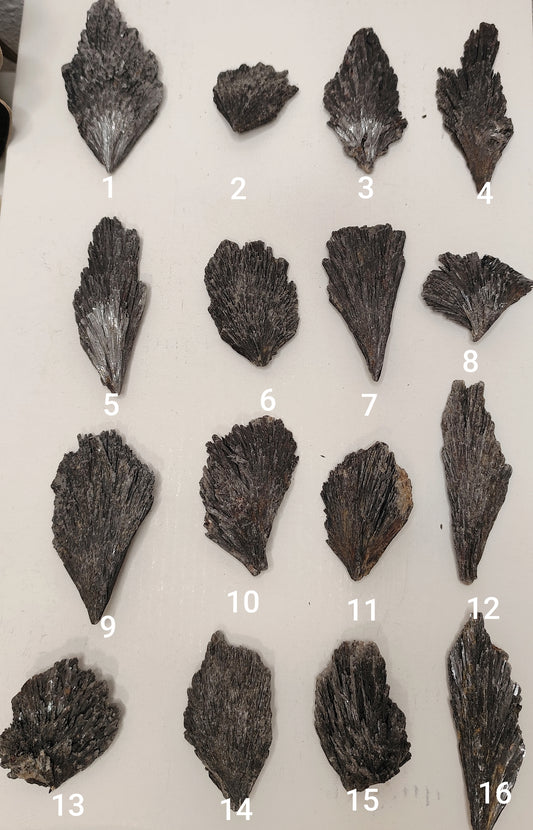 Cianita Negra · Escoba de Bruja | Protección y Conexión